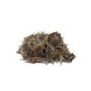 Dragon Sphagnum Moss 5L, 4038501009907, NH-61